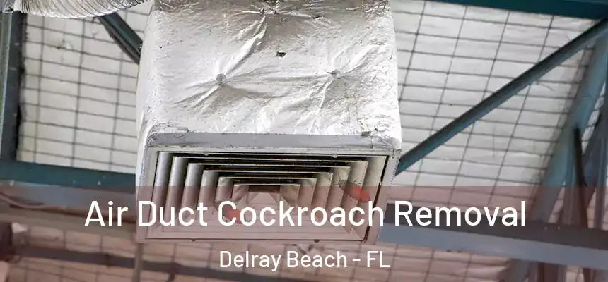 Air Duct Cockroach Removal Delray Beach - FL
