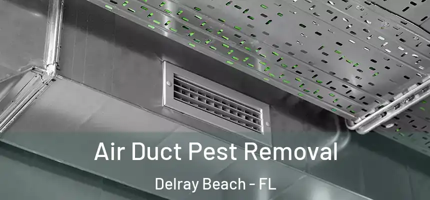 Air Duct Pest Removal Delray Beach - FL