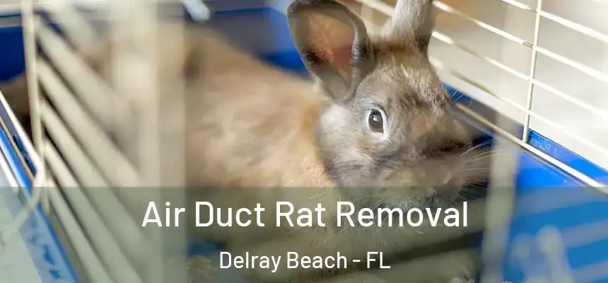 Air Duct Rat Removal Delray Beach - FL