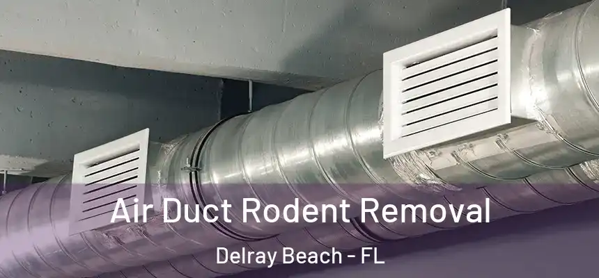 Air Duct Rodent Removal Delray Beach - FL