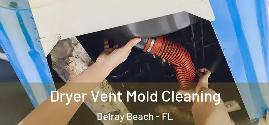 Dryer Vent Mold Cleaning Delray Beach - FL