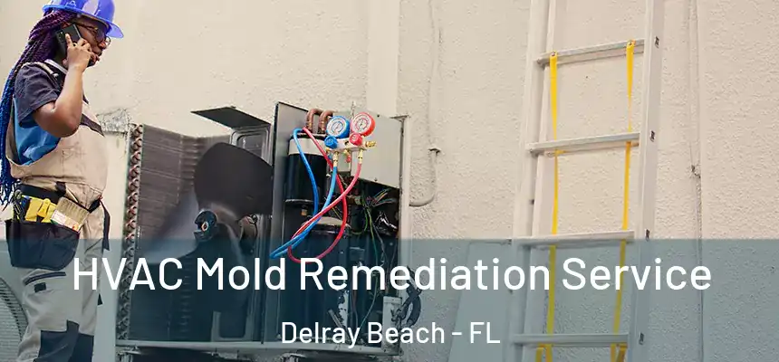 HVAC Mold Remediation Service Delray Beach - FL