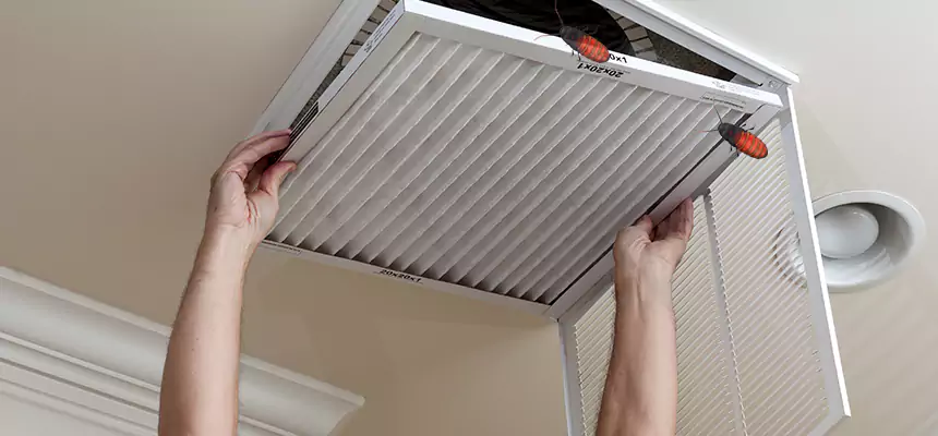 Our Insect Removal from Air Ducts Services in Delray Beach, FL