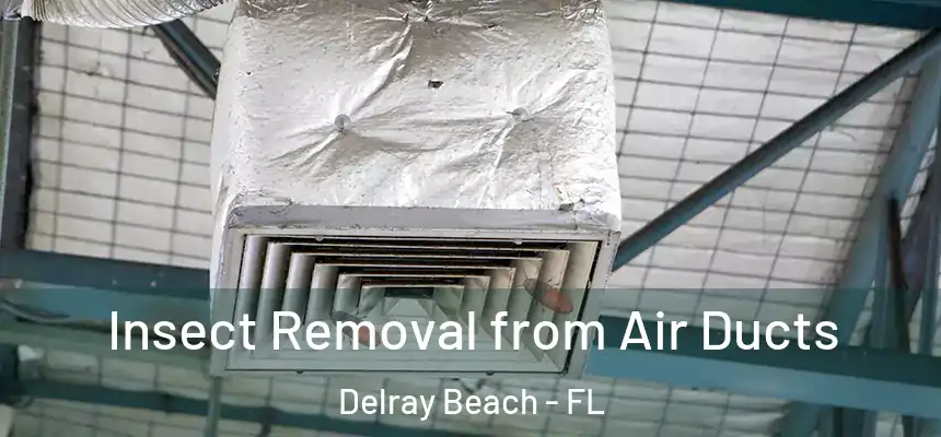 Insect Removal from Air Ducts Delray Beach - FL