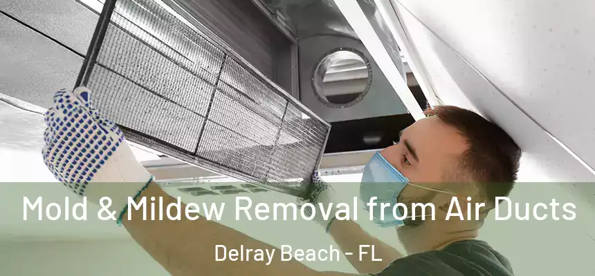  Mold & Mildew Removal from Air Ducts Delray Beach - FL