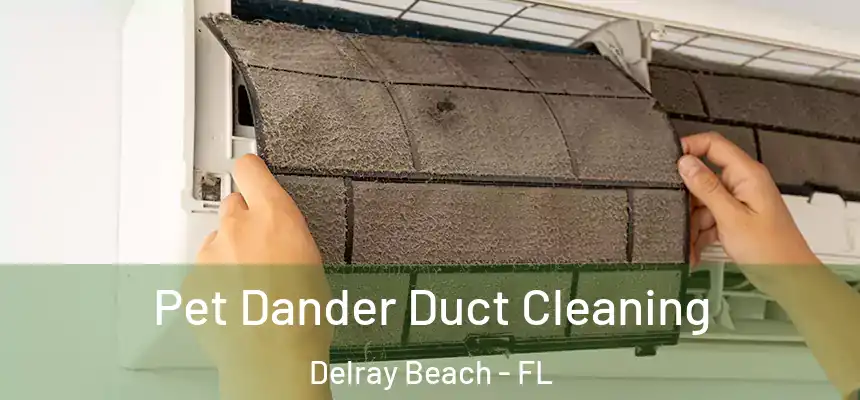 Pet Dander Duct Cleaning Delray Beach - FL