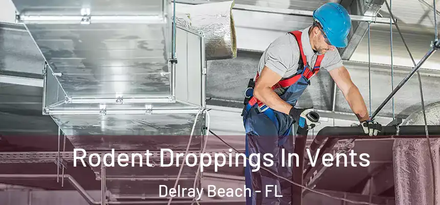 Rodent Droppings In Vents Delray Beach - FL
