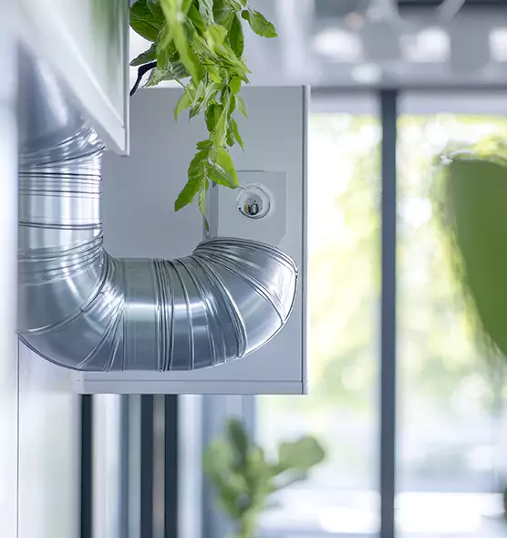 Professional Eco-Safe Dryer Vent Cleaning in Delray Beach, FL