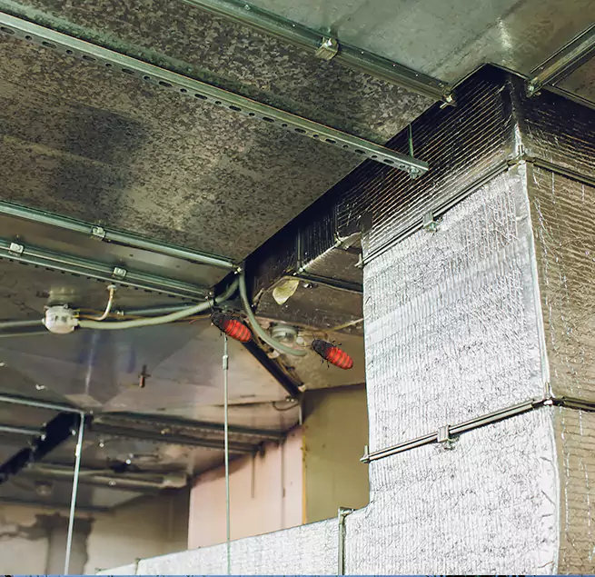 Why Homeowners & Businesses Trust Us in Delray Beach, FL?