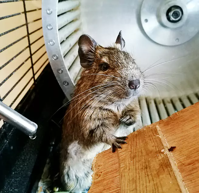 Why Homeowners & Businesses Trust Us Delray Beach, FL?