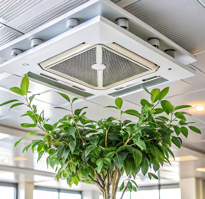 Why Homeowners & Businesses Trust Us in Delray Beach, FL