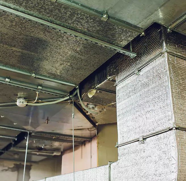 Why Homeowners & Businesses Trust Us in Delray Beach, FL?